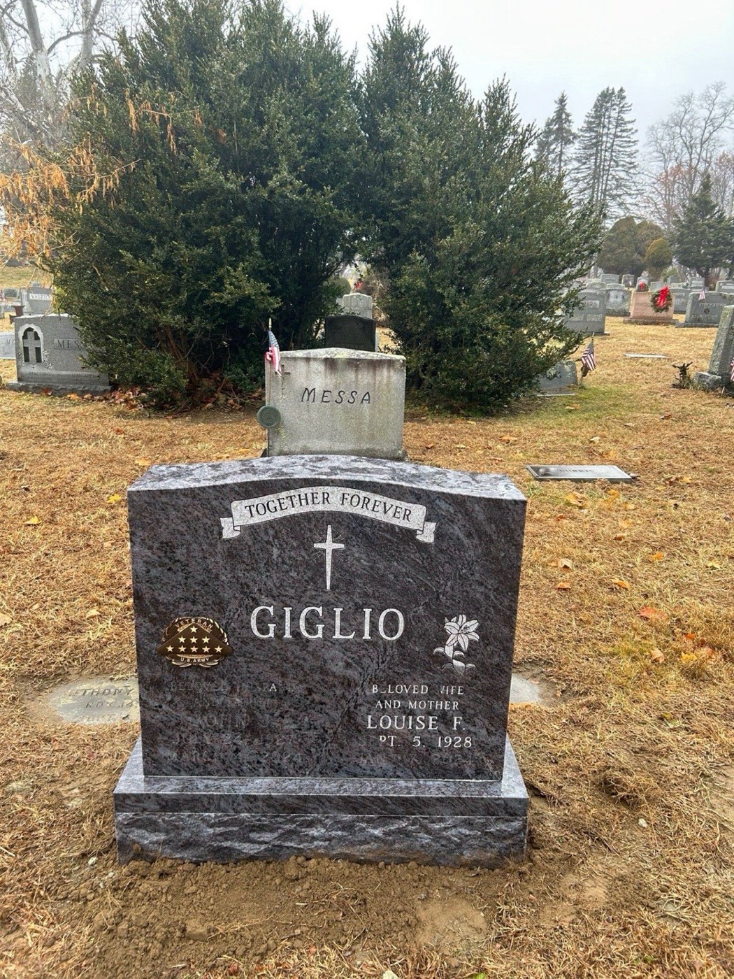Grey and rose granite upright with a cross, a lily and a United States Army veteran emblem